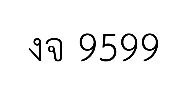 งจ 9599
